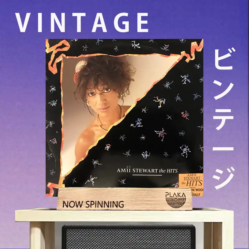 One Day Deal Amii Stewart - The Hits