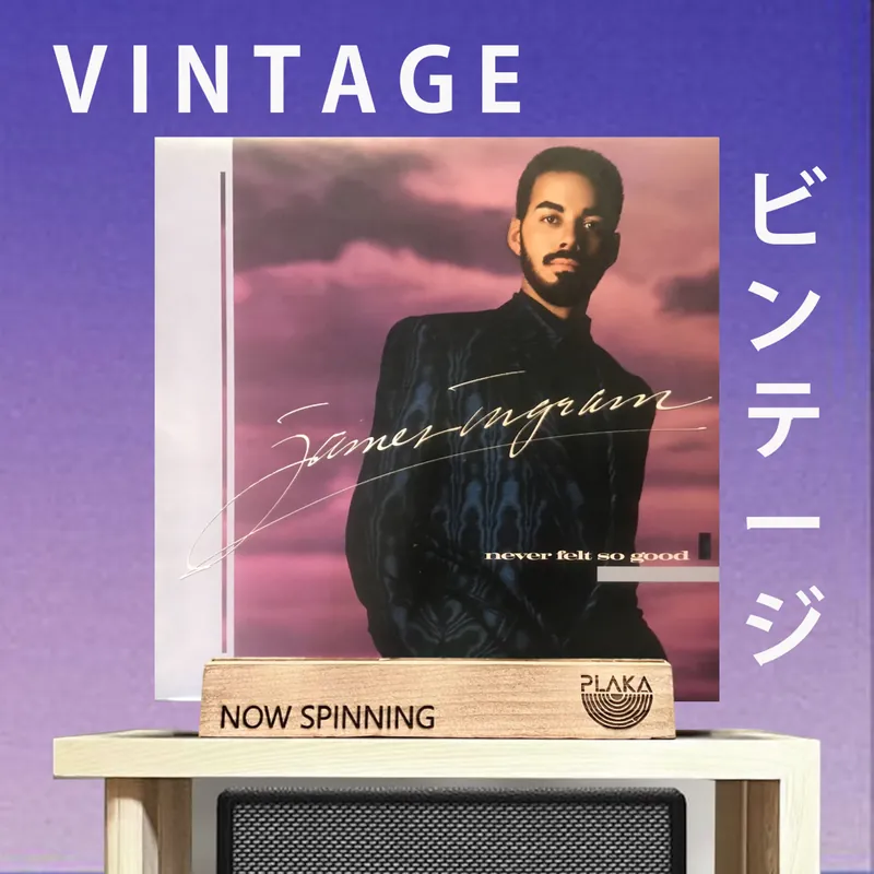 James Ingram - Never Felt So Good Latest