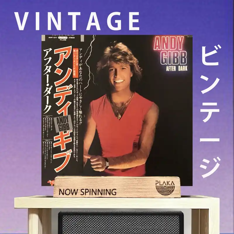 Limited Offer Andy Gibb - After Dark