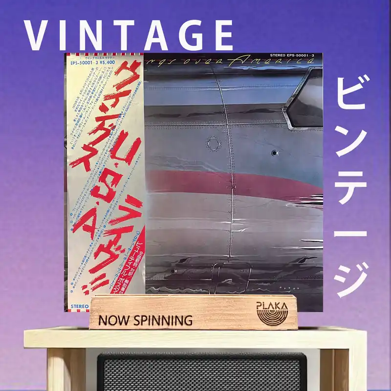 Professional Grade Wings - Wings Over America