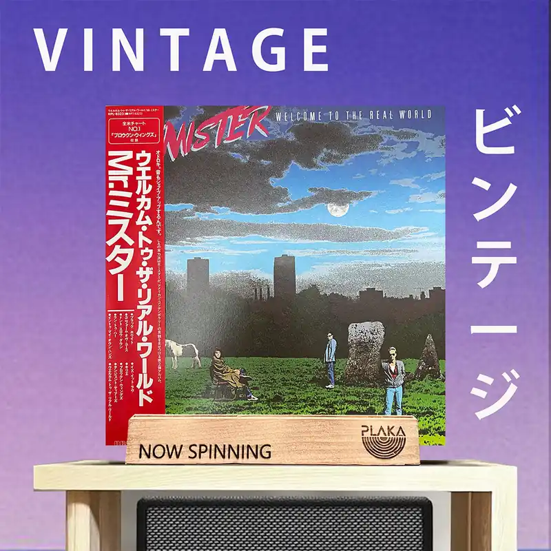 New Arrival Mr. Mister - Welcome to the Real World