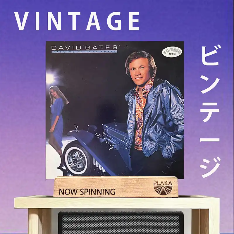 David Gates - Falling in Love Again Cheap