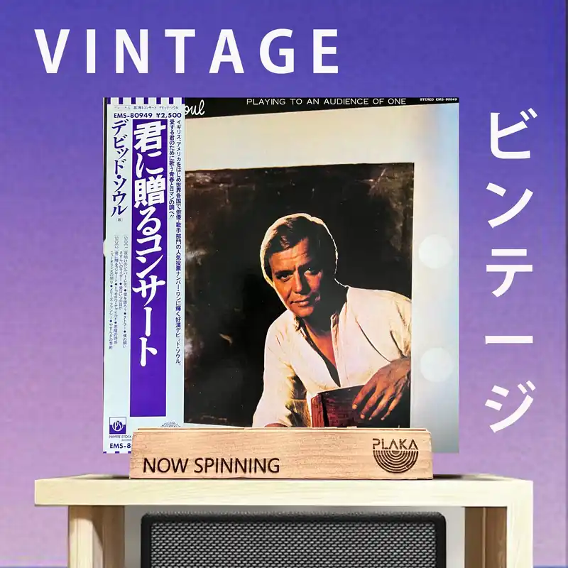 Limited Time David Soul - Playing to An Audience of One