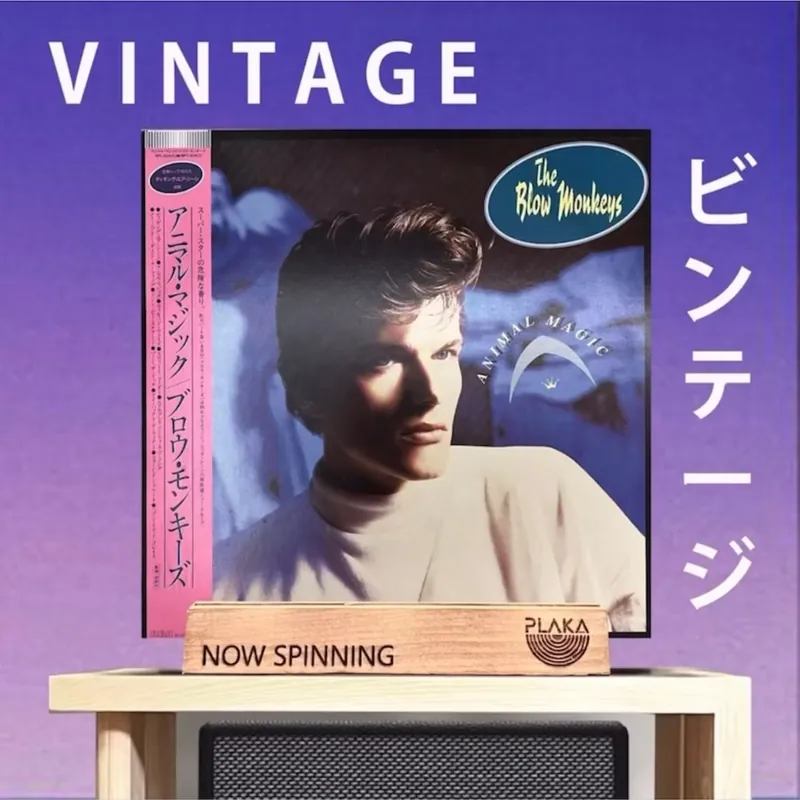 Blow Monkeys - The Animal Magic Next Day Delivery