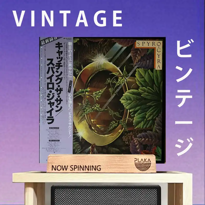 Deal Spyro Gyra - Catching The Sun