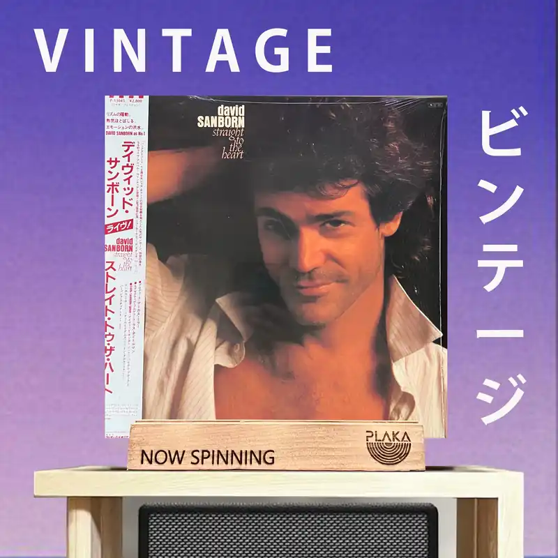 David Sanborn - Straight To The Heart Exclusive