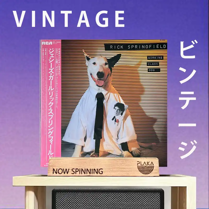 Rick Springfield - Working Class Dog Flash Sale