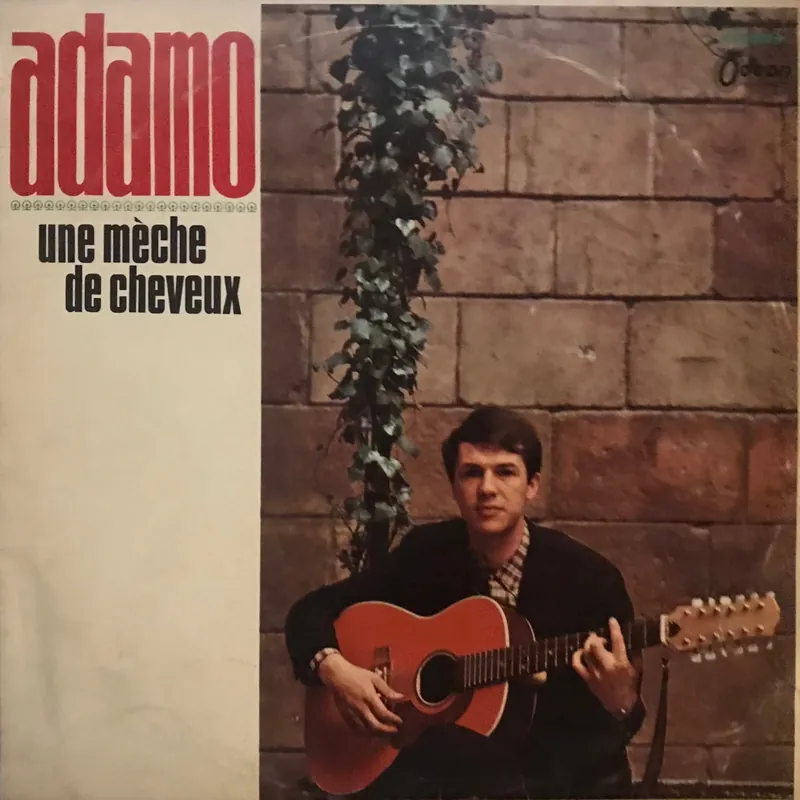 Adamo Une Mèche de cheveux Budget