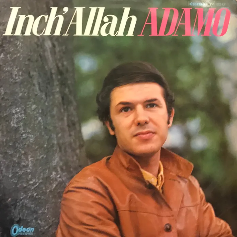 Inch’ Allah Adamo Wholesale