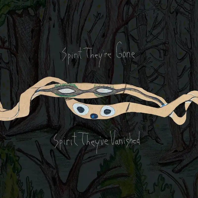 Animal Collective | Spirit They're Gone, Spirit They've Vanished (Remastered 2023) | Vinyl Special Discount