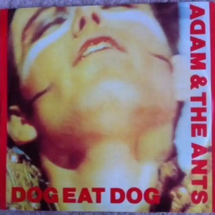 Adam And The Ants – Dog Eat Dog (VG+/VG+) Professional Grade
