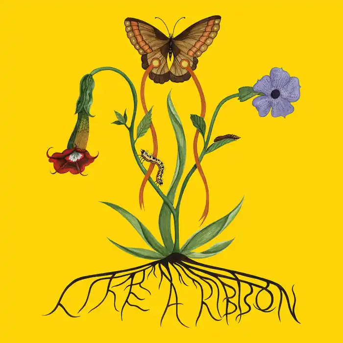GLACIER,JOHN LIKE A RIBBON - CD Sale
