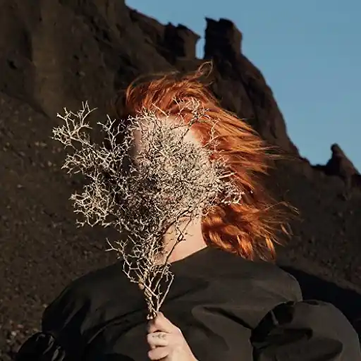 Genuine GOLDFRAPP SILVER EYE - CD