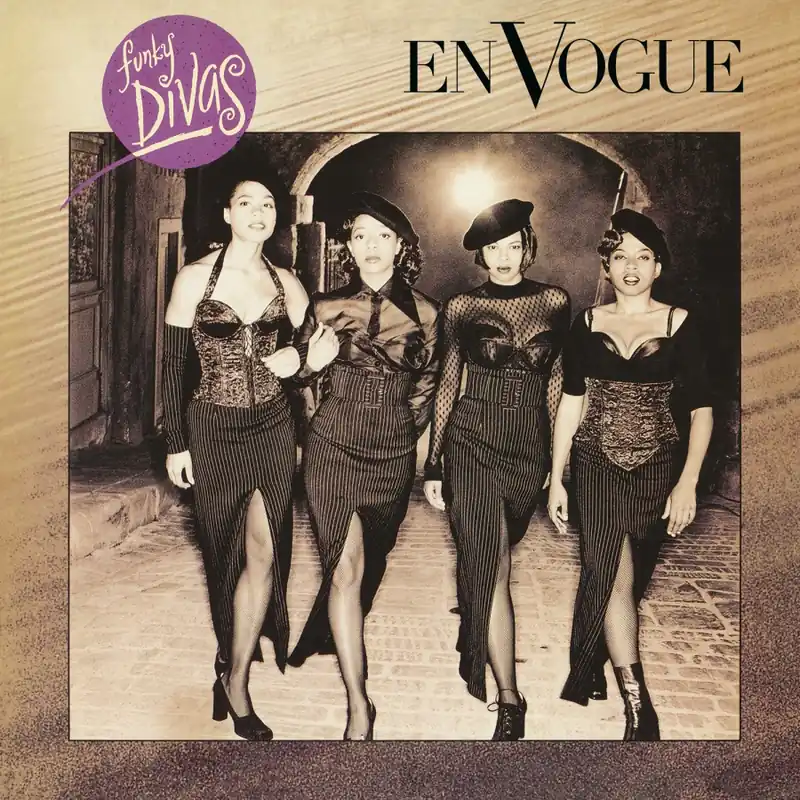 Order Now FUNKY DIVAS Limited 180gram Audiophile Vinyl LP