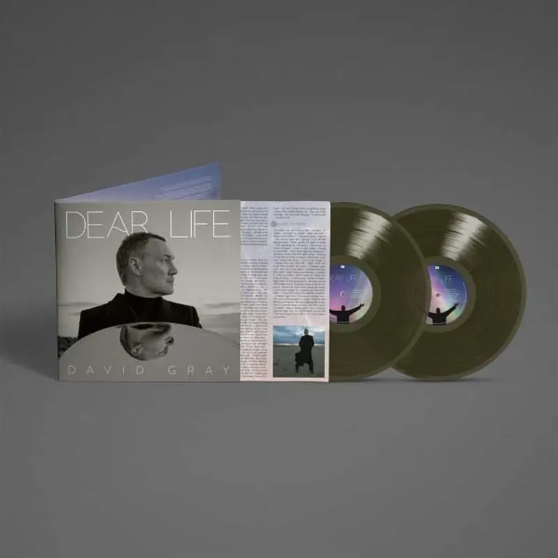 GRAY,DAVID DEAR LIFE (SEAWEED GREEN) - LP Certified