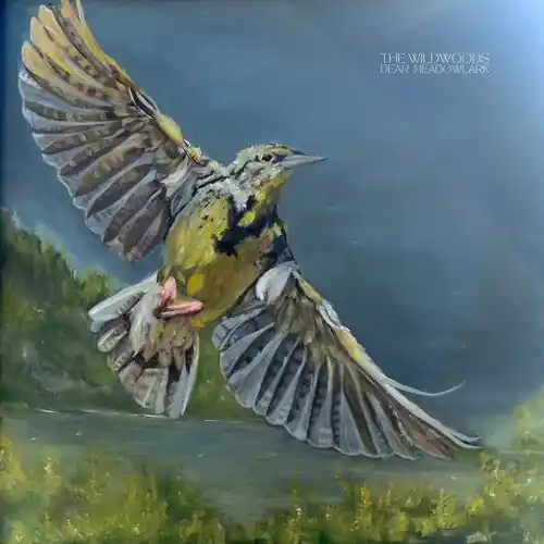 Budget The Wildwoods - Dear Meadowlark (Vinyl)– Josey Records