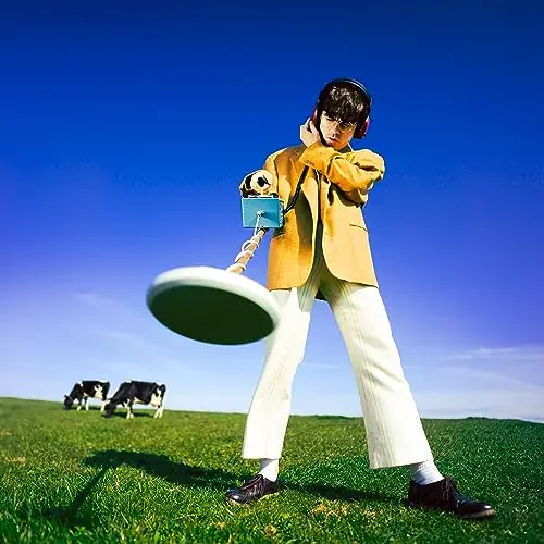 Declan McKenna | What Happened to the Beach? | Vinyl Cheap