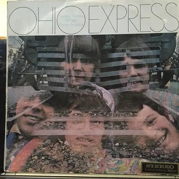 Fast Shipping Ohio Express – The Ohio Express (VG+/VG)