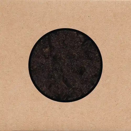 Swans - Birthing (Vinyl)– Josey Records Discount