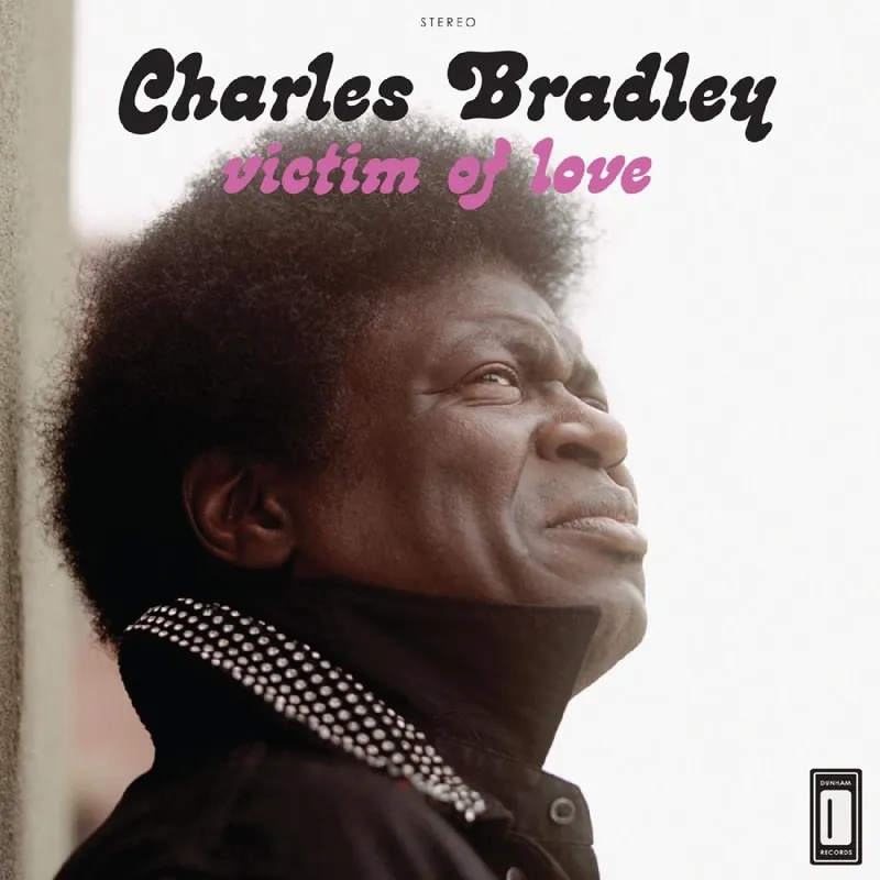Charles Bradley | Victim of Love (MP3 Download) | Vinyl Express Delivery