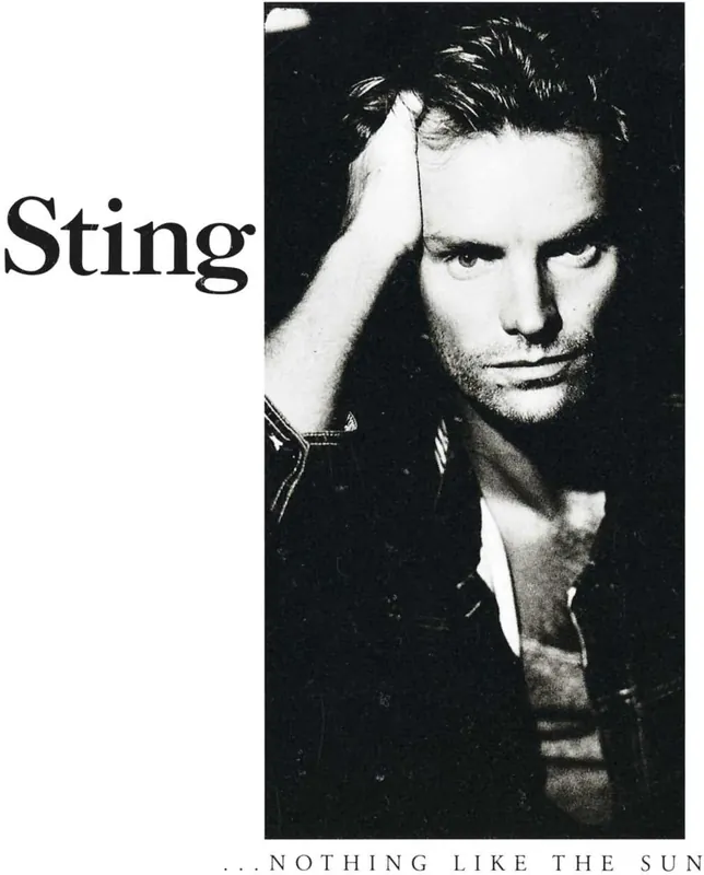 Best Choice ...Nothing Like The Sun Limited 180gram Vinyl 2LP Set