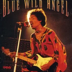 HENDRIX,JIMI BLUE WILD ANGEL: LIVE AT THE ISLE OF WIGHT - DVD Free Returns