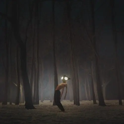 Time-Limited Geese - Projector (Vinyl)– Josey Records