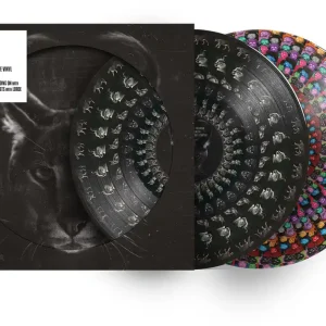 [PRE-ORDER] Disclosure - Caracal - 10th Anniversary Edition (Zoetrope)– Josey Records Top Rated