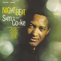 Night Beat Limited180gram Audiophile Vinyl LP Flash Sale