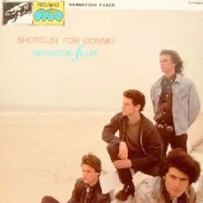 Senator Flux – Shotgun For Cosmo (VG+/VG+) While Supplies Last
