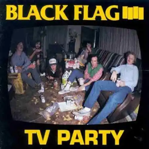 Black Flag | TV Party | Vinyl Secure Checkout