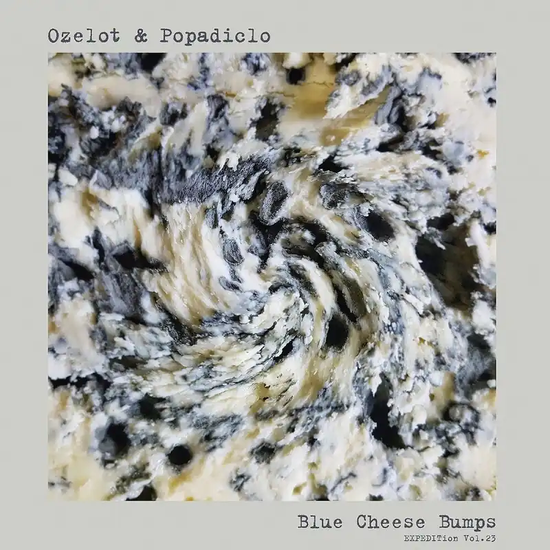 Same Day Shipping Ozelot & Popadiclo - EXPEDITion Vol. 23: Blue Cheese Bumps (LP)– Josey Records