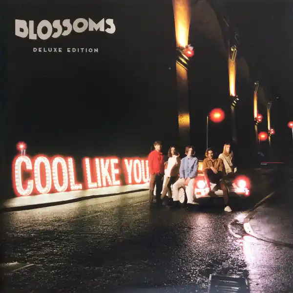 Free Delivery Cool Like You Limited Deluxe Vinyl 2LP Set