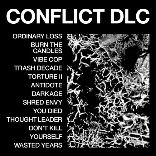 Worldwide Shipping HEALTH CONFLICT DLC - CD