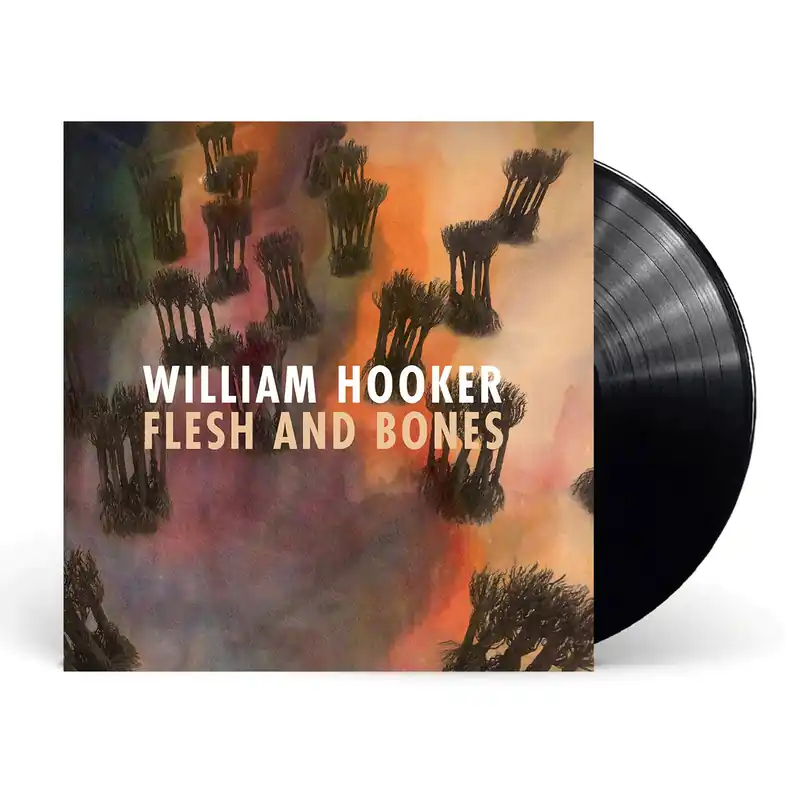 Cheap HOOKER,WILLIAM FLESH AND BONES - LP