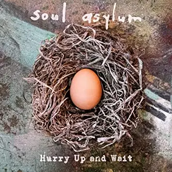 Limited Offer Soul Asylum | Hurry Up and Wait | Vinyl