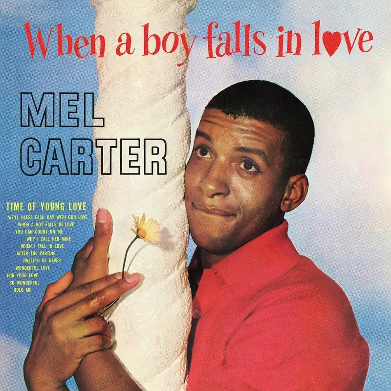 When A Boy Falls In Love Limited Vinyl LP Factory Price