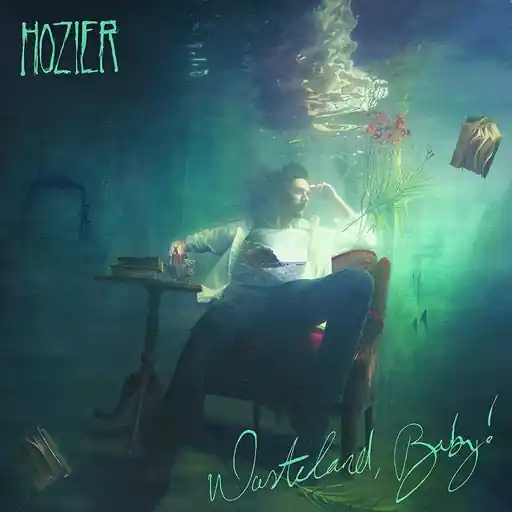 Buy Direct HOZIER WASTELAND BABY - CD