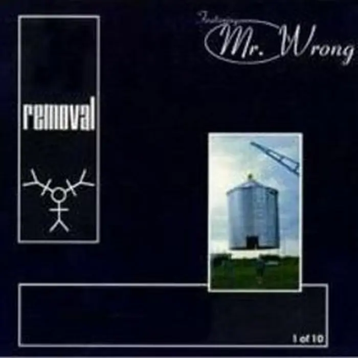 Removal, Mr. Wrong – 1 Of 10 (E/VG+) Hot Picks