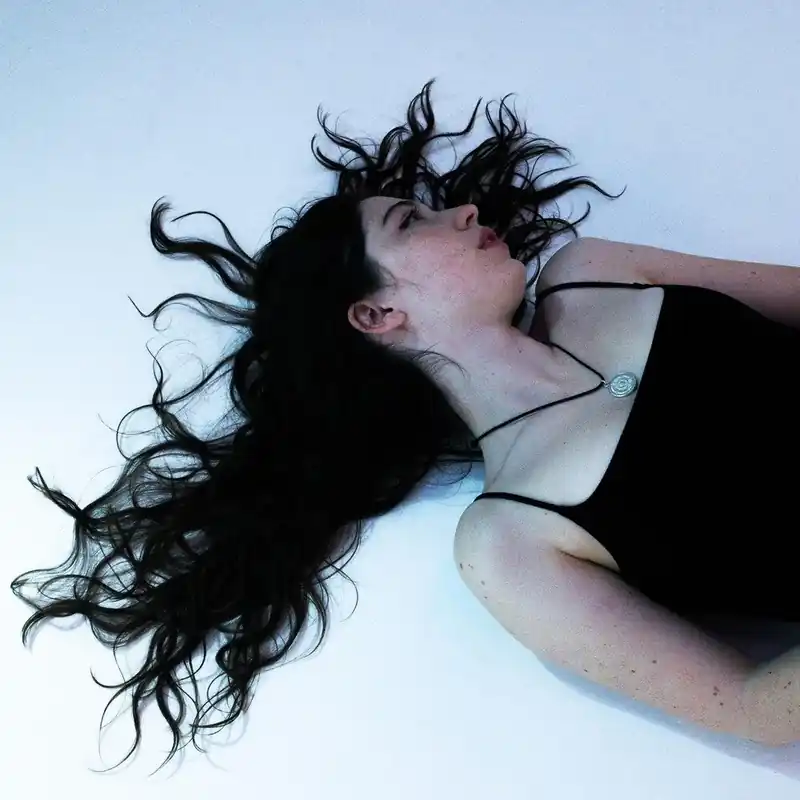 Alaska Reid - Disenchanter (LP)– Josey Records Limited Offer