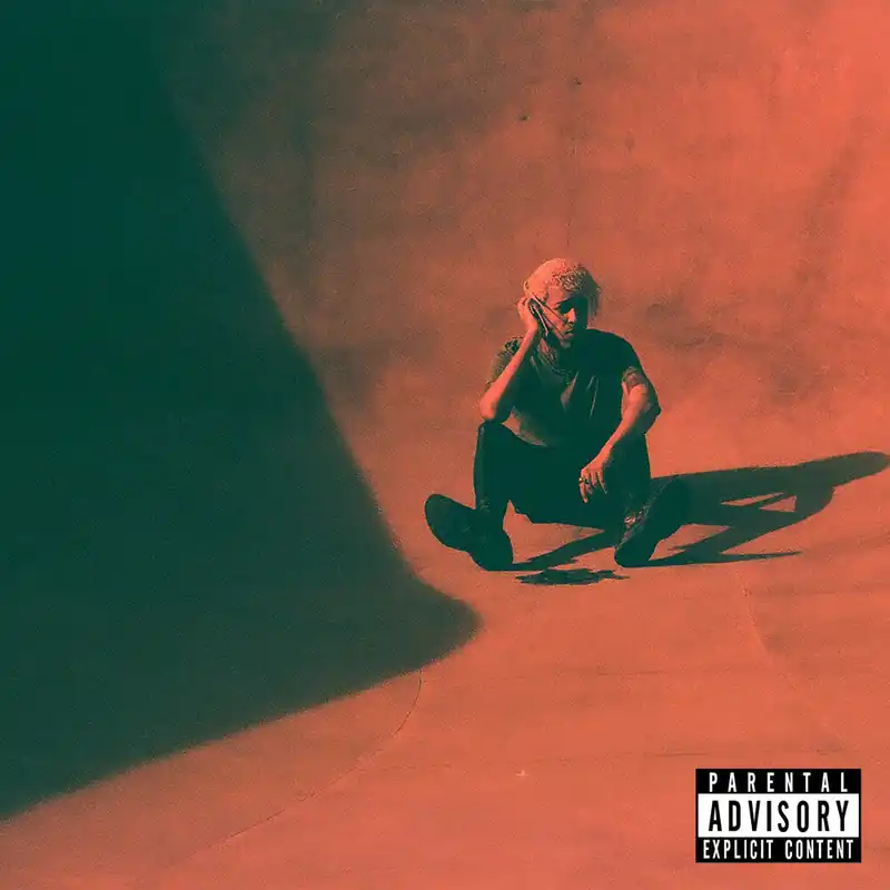 Price Cut Danny Denial - Fuck Danny Denial (LP)– Josey Records