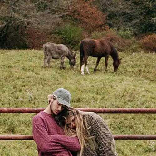 Jeremy Zucker/Chelsea Cutler | brent ii [LP] | Vinyl Holiday Sale
