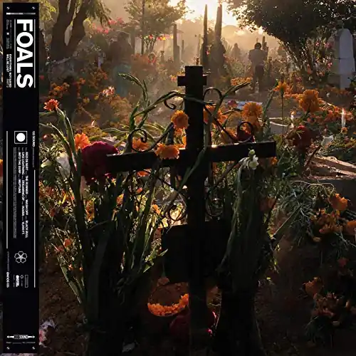 New Arrival Foals | Everything Not Saved Will Be Lost Part 2 | Vinyl