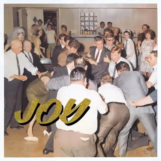 IDLES JOY AS AN ACT OF RESISTANCE - CD Clearance