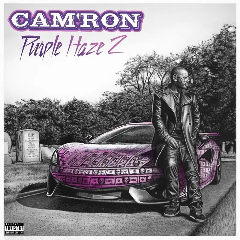 Camron - Purple Haze 2 (LP)– Josey Records Direct From Factory