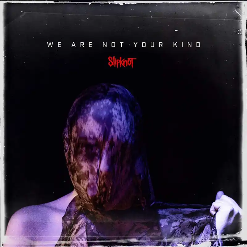 Final Sale We Are Not Your Kind Limited Blue 180gram Vinyl 2LP Set