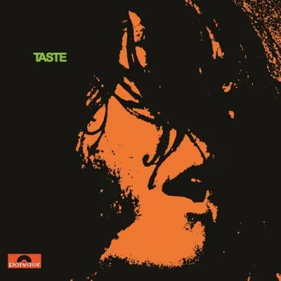 Same Day Shipping TASTE Limited 180gram Audiophile Vinyl LP