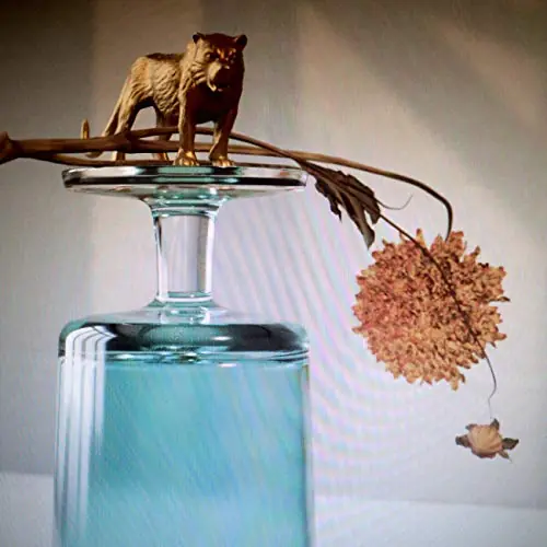 High Quality Beirut | Gallipoli (Indie Exclusive) | Vinyl