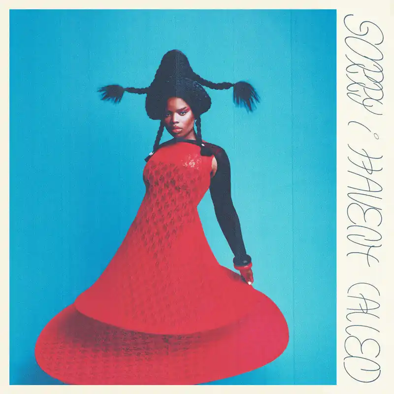 Super Sale Vagabon - Sorry I Haven’t Called (LP)– Josey Records