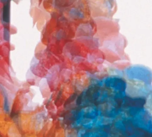 Dungen - Skit I Allt (LP)– Josey Records Hot Picks